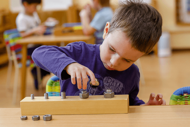 Творческие занятия в курсе Развивайка